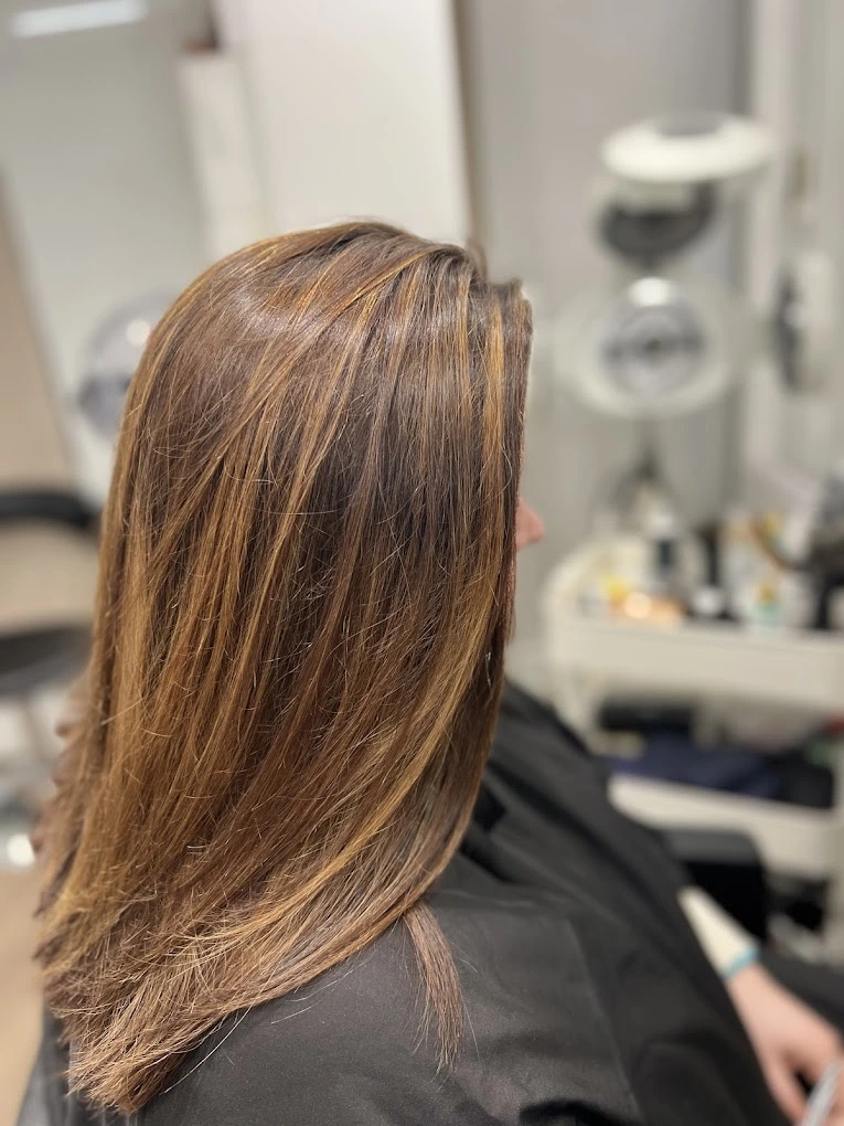 femme brune avec cheveux lisses reflets marrons